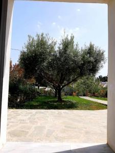 Trikorfo Beach Apartment, 150m from Sandy Beach