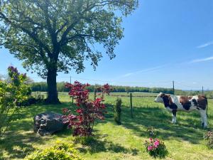Maisons de vacances Cottage chez Emilie : photos des chambres