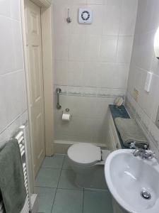 Ground floor garden apartment