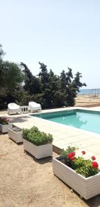 Cedar Bay Beachside Villas