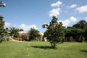 Maisons de vacances Mini villa - T2 climatise, proche des plages : photos des chambres