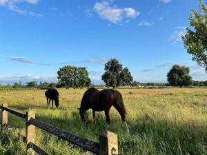 Maisons de vacances An authentic place of heaven near St Emilion : photos des chambres