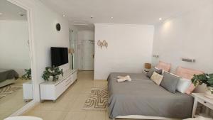 PYR13 Studio Big Terrace