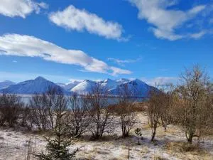 Charming apartment - Storaborg