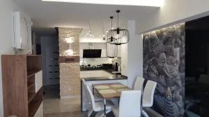 Ekskluzywny Apartament Krynica - Zdrój - Tylicz