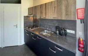 Nice Home In Lauwersoog With Kitchen