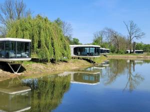 obrázek - Pałac Wieniawskich & Nowoczesne Domki Glampingowe z Balią & Zabytkowy Park