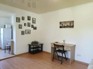 Apartments center - Затишні апартаменти в центрі біля ЦУМа - Sosnovka