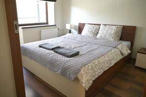 Villa Apartments Giruliai XVIII - Prime Rentals