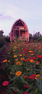 Raturinjani homestay