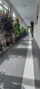 Hotel Belp Bern Airport Free Parking