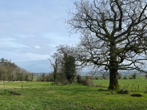 Donegal Cabin with Hot tub Option