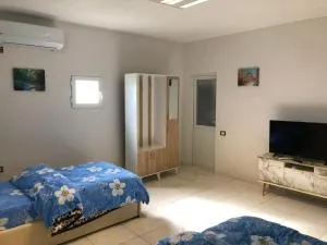 Bar restorant gashi - Kukës