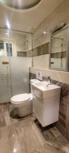 Luxury apartments Mohandisem 703