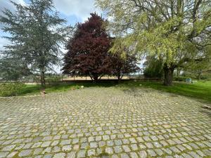 Appartements Gite de charme : photos des chambres