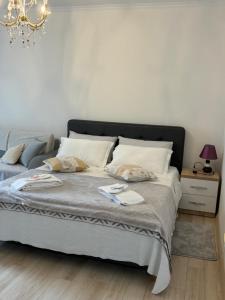 Apartment in Tirana Center