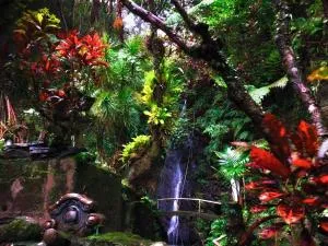 ゲストハウスみづき【龍神の滝がある宿】 - Naze