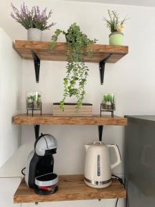 Appartement Saint Jo