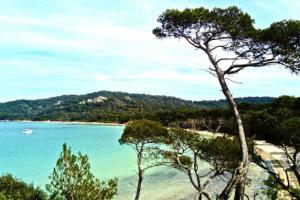 Ile de Porquerolles : T3 climatisé vue mer