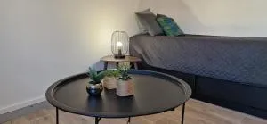 Le petit Jungle - hyper centre - Uchacq-et-Parentis