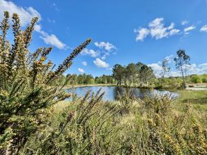 B&B / Chambres d'hotes Blue : La Roulotte du Medoc : photos des chambres