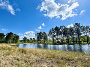 B&B / Chambres d'hotes Blue : La Roulotte du Medoc : photos des chambres
