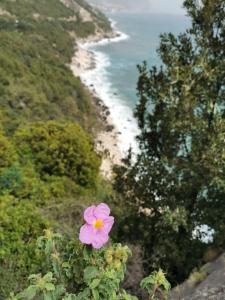 Casa Mare e Sole IUN R2610 img15