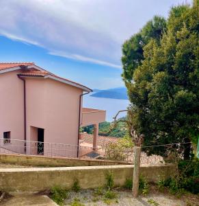 Casa David