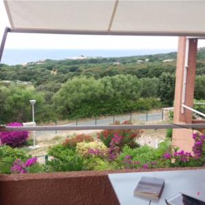 Appartements La terrazza sulla baia di Calvi : photos des chambres