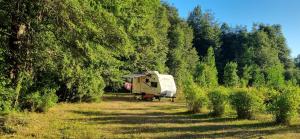 cabaña entre coihues y arrayanes