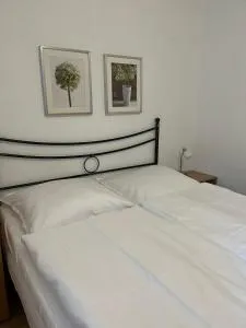 A cosy basement apartment - 伏尔塔瓦河畔赫卢博卡