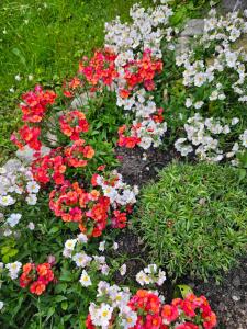 GARDAINN GIARDINO 38a