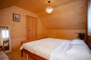 Shpija Ujevara e Vogel