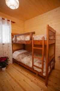 Shpija Ujevara e Vogel