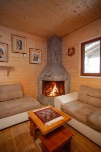 Shpija Ujevara e Vogel