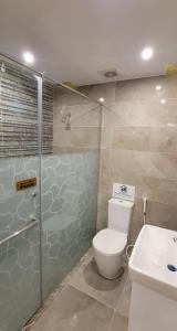 Luxury apartments, Mohandiseen 502