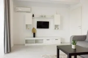 Runcu Apartment - Bîrzeşti