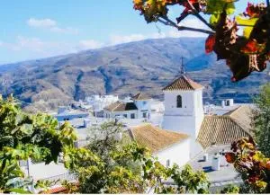 Casa Las Cuadras - Torviscón