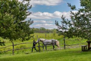 Ранчо Скарбова Гора