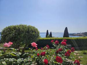 Apartment Solare 