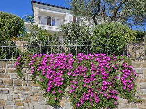 Apartment Solare 