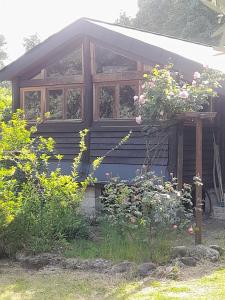 Chalets Chalet Dominique : photos des chambres
