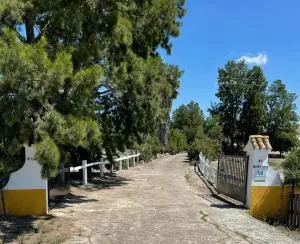 Cortijo el Morisco. - Espera