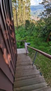 La Esperanza bird Lodge and Reserve