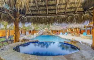 Tropical Escape Pool Jacuzzi Bar in Alvin TX - 阿尔文