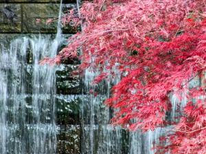 Suikoyen Hotel - Vacation STAY 53761v