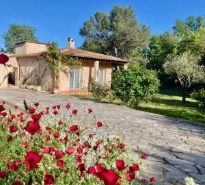 Air-conditioned villa with fresh eggs & vegetables - 罗科福尔雷潘