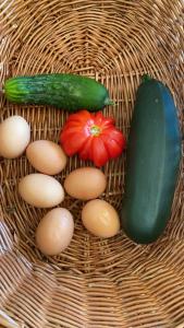 Air-conditioned villa with fresh eggs & vegetables