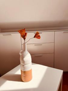 Agri Suite with jacuzzi - La Bilaia