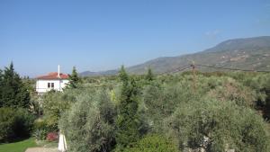 Palirria Hotel & Studios Pelion Greece